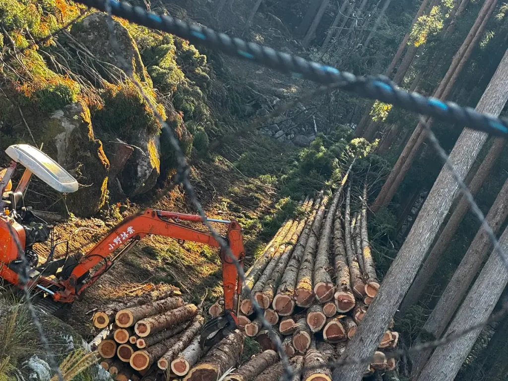 諸塚村 利用間伐 4.1ha